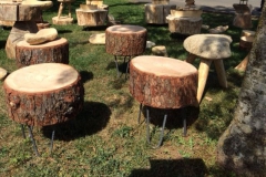 Revemont-2017-fête-des-villages-fleuris-8-e1496736399320