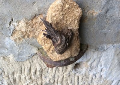 Vieux morceau de bois sur une pierre