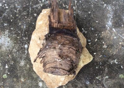 Montage d'un vieu morceau de bois en forme de visage sur une pierre jaune